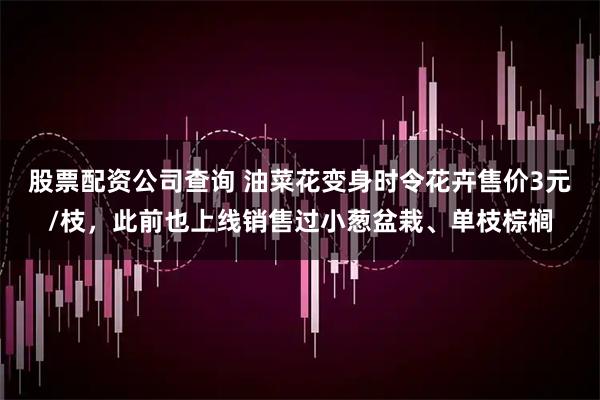 股票配资公司查询 油菜花变身时令花卉售价3元/枝，此前也上线销售过小葱盆栽、单枝棕榈